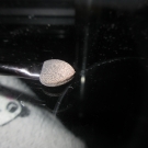 Swatch de joyblot : I Divine Au Naturel Palette, Sleek MakeUP