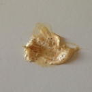 Swatch de Eatmacaroons : Gommage Gourmand Abricot, Yves Rocher