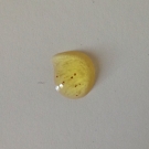 Swatch de Eatmacaroons : Douche Gommage au Sucre - Le Caramel, Cottage