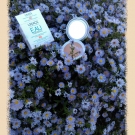 Swatch de nili17 : Crème d'eau compacte teintée SPF 30 Haute Protection, Uriage