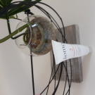 Swatch de lollipops : Serum vitality shot, Ioma