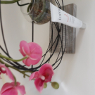 Swatch de lollipops : Serum vitality shot, Ioma