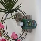 Swatch de lollipops : Shampooing au bambou, Logona