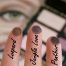 Swatch de ChoupnBeauty : Cat Eyes Palette de Fards à paupières, Too Faced