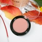 Swatch de ChoupnBeauty : Blush, Avril