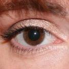 Swatch de ChoupnBeauty : Naked 2  Basics Palette, Urban Decay