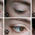 Swatch de ChoupnBeauty : Cat Eyes Palette de Fards à paupières, Too Faced