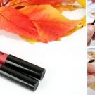 Swatch de ChoupnBeauty : Le Crayon Rouge à Lèvres, Avril