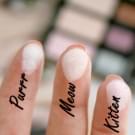 Swatch de ChoupnBeauty : Cat Eyes Palette de Fards à paupières, Too Faced