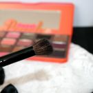 Swatch de ChoupnBeauty : 12 Piece Black and White Travel Set, Morphe