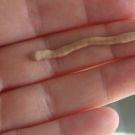 Swatch de ChoupnBeauty : Superdefense CC Cream SPF 30, Clinique