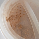 Swatch de lesenviesdetalie : Fond de teint minéral, Lily Lolo