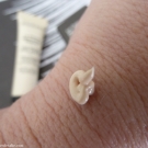 Swatch de lesenviesdetalie : Crème Réparatrice Regard, Absolution