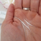 Swatch de lesenviesdetalie : Crème-sérum Formule Visage, Neomist