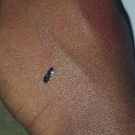 Swatch de shoppinggirl : Eye liner, Pink Paris