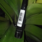 Swatch de morganetocco : Eyeliner - Couleurs Nature, Yves Rocher