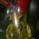 Swatch de morganetocco : Dolce Vita Eau de Toilette, Dior