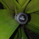 Swatch de morganetocco : Eyeliner - Couleurs Nature, Yves Rocher