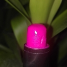 Swatch de morganetocco : Baby Lips Baume à Lèvres Teinté, Maybelline New York