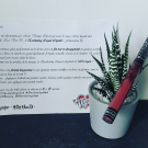 Swatch de Stefy@ : Everlasting Liquid Lipstick - Rouge à lèvres liquide, KAT VON D BEAUTY