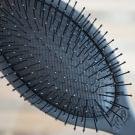 Swatch de Pretty and Lazy : Wet Brush Detangling Hairbrush, The Wet Brush