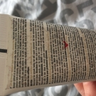 Swatch de little flower : Steampod Lait de lissage repulpant - 150 ml, L'Oréal Paris