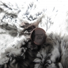 Swatch de little flower : Rouge à lèvres Revolution, Urban Decay