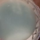 Swatch de meghanne13 : Mineral body polish, Bath & Body Works