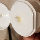 Swatch de meghanne13 : Famenpax vergetures, Lehning