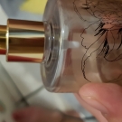 Swatch de meghanne13 : Tangled blooms, Victoria's secret