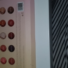 Swatch de meghanne13 : Golden state of mind, Colour Pop 