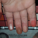 Swatch de meghanne13 : Reloaded newtrals 2, Makeup Revolution