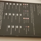 Swatch de meghanne13 : Oh So Special Palette, Sleek MakeUP