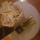 Swatch de jennah7533 : Cabochard, Grès