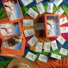 Swatch de Marieblondinette38 : Daylong face sensitive, Daylong