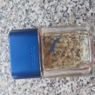 Swatch de Mel59 : I m going, Puma