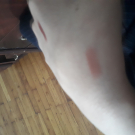 Swatch de Demo6 : Lipstick, Max & More