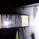 Swatch de Demo6 : BB Crème Anti-Age, Garnier SkinActive