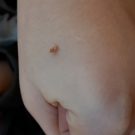 Swatch de Demo6 : Base lissante, Make Up For Ever