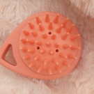 Swatch de sophie69400 : Brosse Birchbox, Birchbox