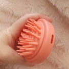 Swatch de sophie69400 : Brosse Birchbox, Birchbox