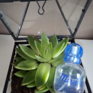 Swatch de sophie69400 : Musti Eau de Soin sans alcool, Mustela