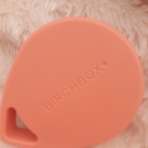 Swatch de sophie69400 : Brosse Birchbox, Birchbox