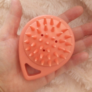 Swatch de sophie69400 : Brosse Birchbox, Birchbox