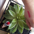 Swatch de sophie69400 : Luscious Cream, Kiko