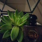 Swatch de sophie69400 : Black Opium Eau de parfum, Yves Saint Laurent