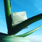 Swatch de AZEBEIR : La Cure Peau Nette, Absolution