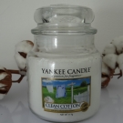 Swatch de Irys : Bougie Parfumée, Yankee Candle