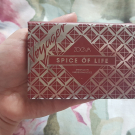 Swatch de PicMa : Voyager Spice Of Life Eyeshadow Palette, Zoeva