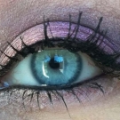 Swatch de Bavardages et maquillage : Norvina Eye Shadow Palette - Palette de fards à paupières, Anastasia Beverly Hills